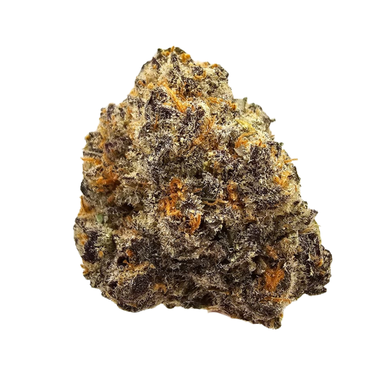 Blue Papaya THCA Tea Flower featuring a vibrant terpene profile of juicy blueberries, ripe papaya, tropical melon, creamy vanilla and subtle sweet spice, delivering a smooth, fruit-forward flavour with a modern exotic character.