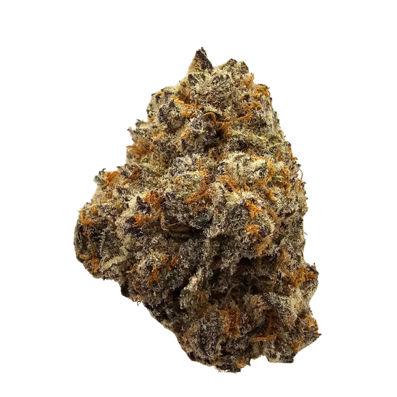 Blue Papaya THCA Tea Flower featuring a vibrant terpene profile of juicy blueberries, ripe papaya, tropical melon, creamy vanilla and subtle sweet spice, delivering a smooth, fruit-forward flavour with a modern exotic character.