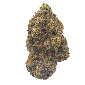 Grape Gasoline THCA Flower Grown in the USA