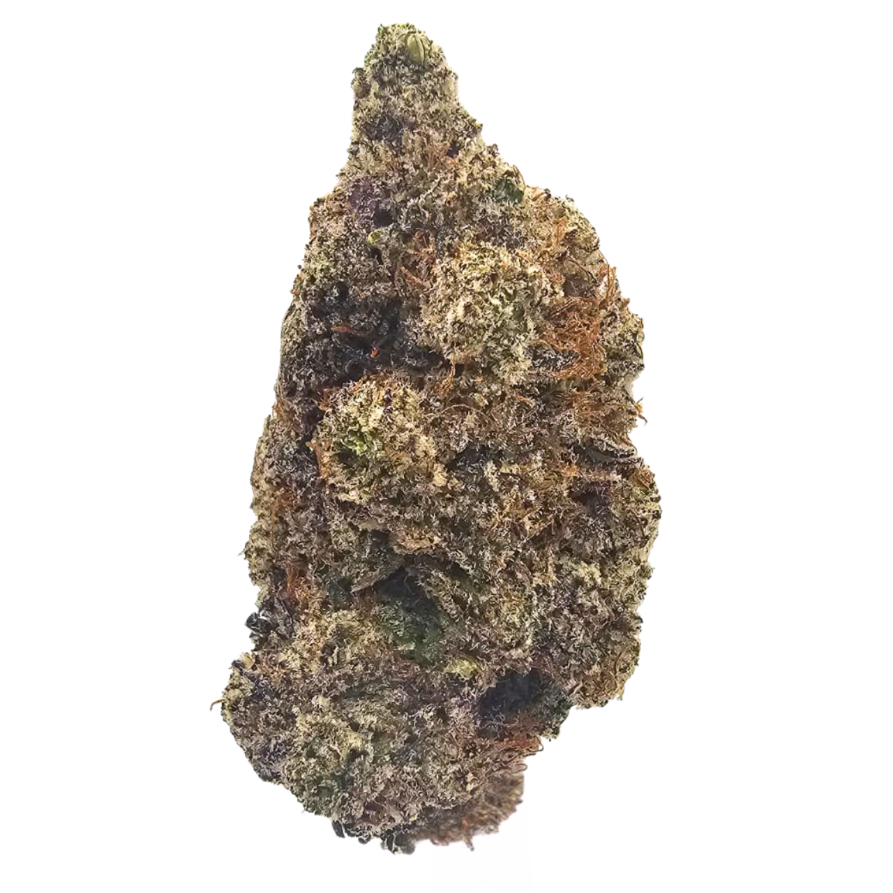 Grape Gasoline THCA Flower Grown in the USA