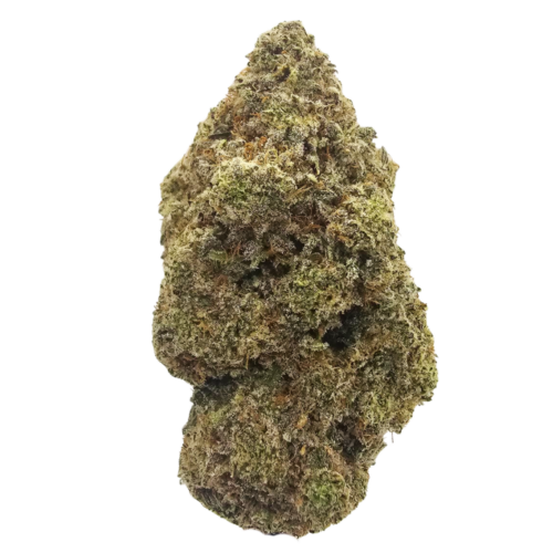 Premium Key Lime Pie THCA Tea Flower from Kushte featuring dense, trichome-coated flowers with vibrant green tones and bright orange pistils. A citrus-forward dessert cultivar with fresh lime zest, creamy vanilla pastry, delicate mint and a gentle earthy gas finish. Ideal for lovers of rich, flavour-led indoor flower.