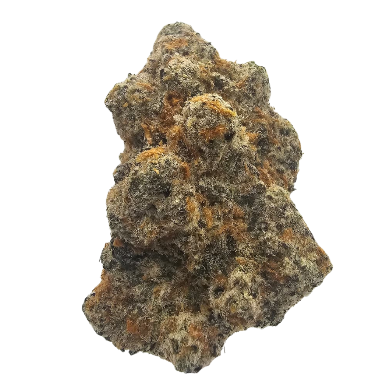 Premium Marshmallow OG THCA tea flower featuring a creamy vanilla and marshmallow terpene profile with subtle orchard fruit and classic kush notes. Dense, resin-coated flowers with pale green colouring and exceptional frost, available from Kushte.