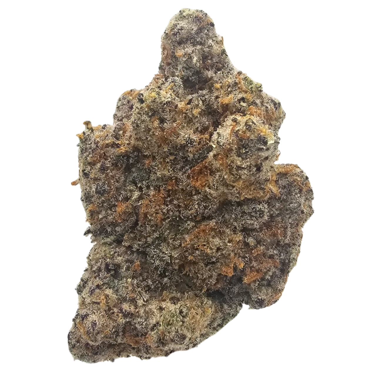 Premium Marshmallow OG THCA tea flower featuring a creamy vanilla and marshmallow terpene profile with subtle orchard fruit and classic kush notes. Dense, resin-coated flowers with pale green colouring and exceptional frost, available from Kushte.