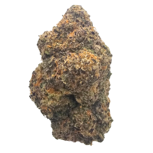 Premium Plum Wine THCA tea flower showcasing dense, frosted flowers with vibrant orange pistils, inspired by rich notes of stewed plum, dark grapes, blackberry and warming spice.
