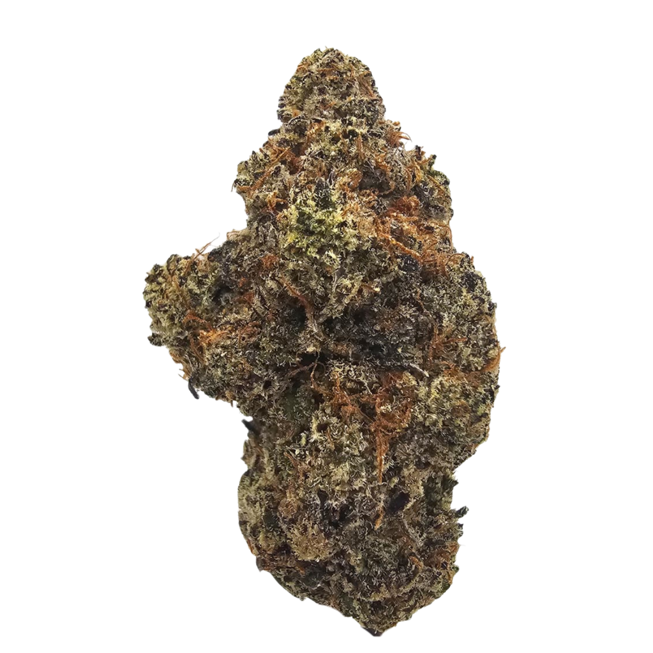 Premium Black Cherry Gelato THCA Tea Flower featuring dense, trichome-coated flowers with rich notes of black cherry, juicy berries, creamy vanilla and subtle earthy gas, expertly grown for exceptional aroma and flavour.