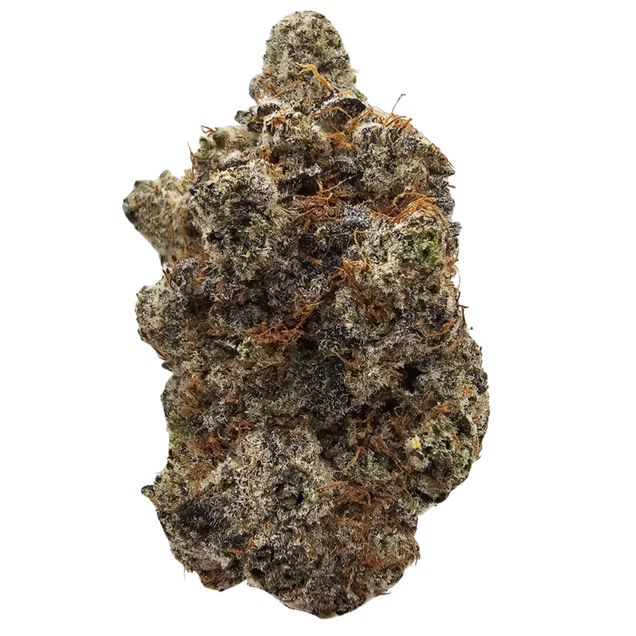 Blueberry Caviar