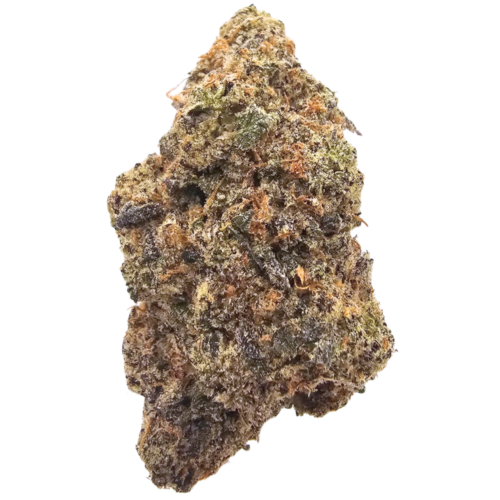 Blue Runtz THCA tea flower from Kushte, featuring a complex aroma of sweet blue fruits, dark berries, creamy Runtz candy and rich gassy undertones.