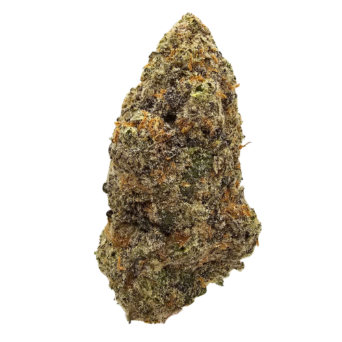 Dosi Pop THCA tea flower from Kushte