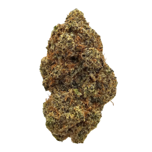 Garlic Breath GMO × Mendo Breath THCA tea flower by Kushte