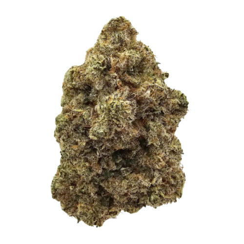 Khalifa Kush THCA tea flower from Kushte