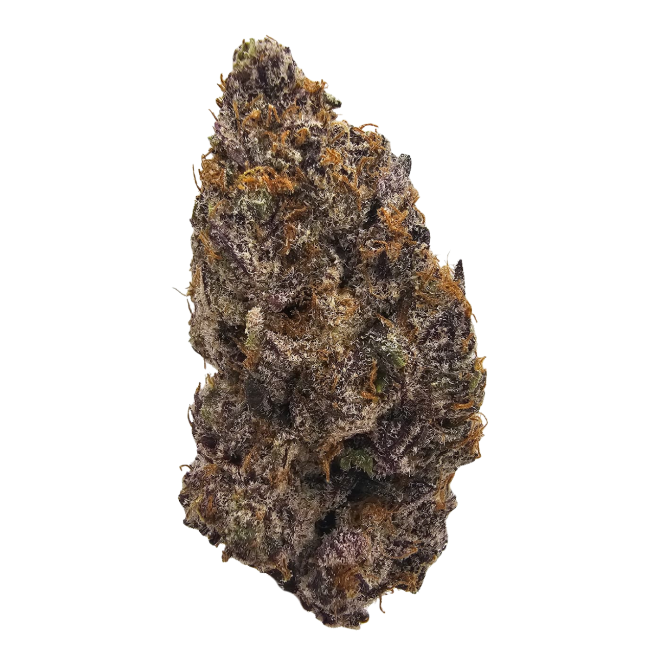 Milk Bone THCA tea flower from Kushte, featuring bright green and purple tones with a distinctive aroma of burnt creamy milk, earthy funk and pungent gas.