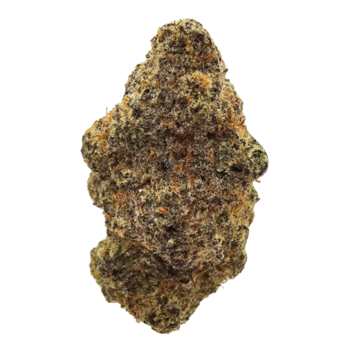 Pineapple Fruz THCA Tea Flower featuring a bold tropical terpene profile of sticky pineapple, ripe papaya, juicy mango, creamy vanilla and a subtle tropical funk, delivering a rich, syrupy and fruit-forward flavour experience with a modern exotic character.