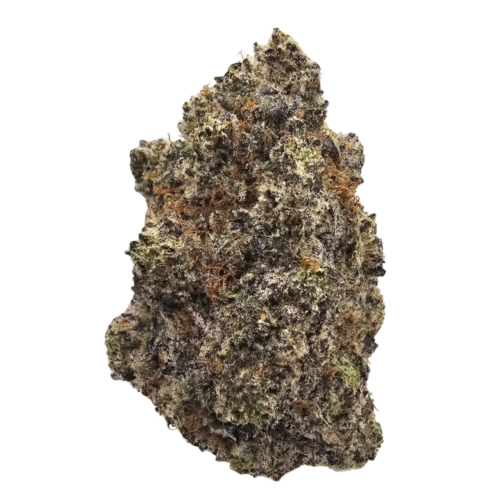 Pink Grapes THCA tea flower from Kushte