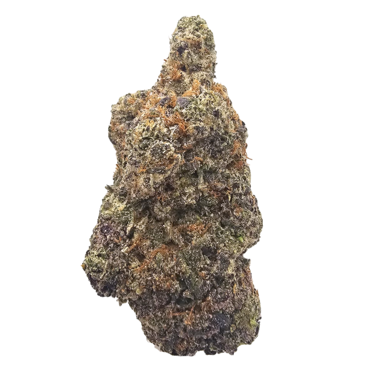 Premium Purple Biscotti CBD tea flower showcasing dense resin-coated flowers with deep purple colouring, vibrant green highlights and bright orange pistils, offering rich grape, berry, creamy and freshly brewed coffee aromas.