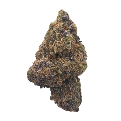 Premium Purple Biscotti CBD tea flower showcasing dense resin-coated flowers with deep purple colouring, vibrant green highlights and bright orange pistils, offering rich grape, berry, creamy and freshly brewed coffee aromas.
