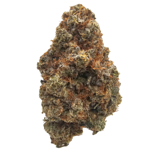 Kushte RubikZ Cube THCA tea flower with sweet Z candy, creamy berry, grape and gassy aromas