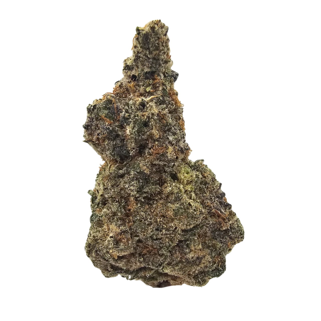 Premium Strawberry Banana THCA Tea Flower featuring dense resin-coated green flowers with bright orange pistils and a rich aroma of sweet strawberry, creamy banana and savoury earthy gas.