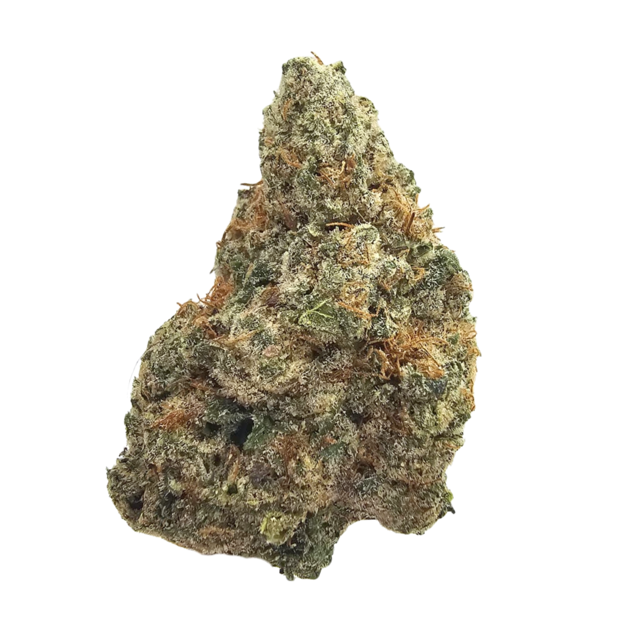 Premium Strawberry Banana THCA Tea Flower featuring dense resin-coated green flowers with bright orange pistils and a rich aroma of sweet strawberry, creamy banana and savoury earthy gas.