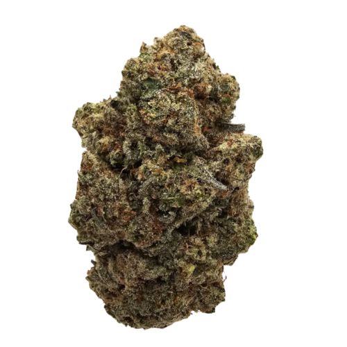 Dense, frosty Tahoe THCA tea flowers with deep green hues, vibrant orange pistils and a bold fuel-forward aroma featuring heavy diesel, earthy pine and herbal spice.