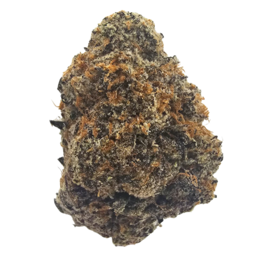 White Rainbow THCA Tea Flower featuring bright green flowers with purple highlights and vivid orange pistils, delivering a layered terpene profile of creamy orchard fruit, sweet citrus, subtle candy, vanilla, earthy spice and gentle savoury gas.
