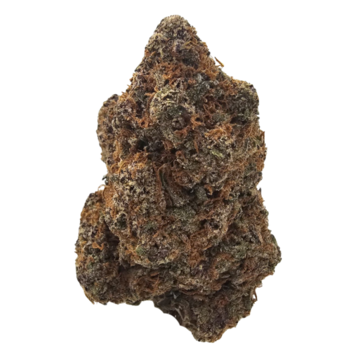 Premium Blueberry Cruffin THCA Tea Flower featuring dense resin-coated green flowers with bright orange pistils and a layered aroma of ripe blueberry, thick floral perfume and a smooth savoury gassy finish.