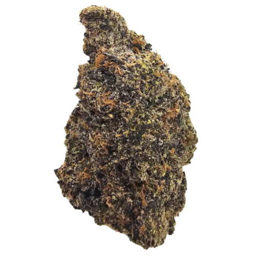 Sunset Runtz THCA tea flowers displaying deep green and purple hues, bright orange pistils and heavy trichome coverage, with a sweet, creamy Runtz-inspired candy and gas aroma.