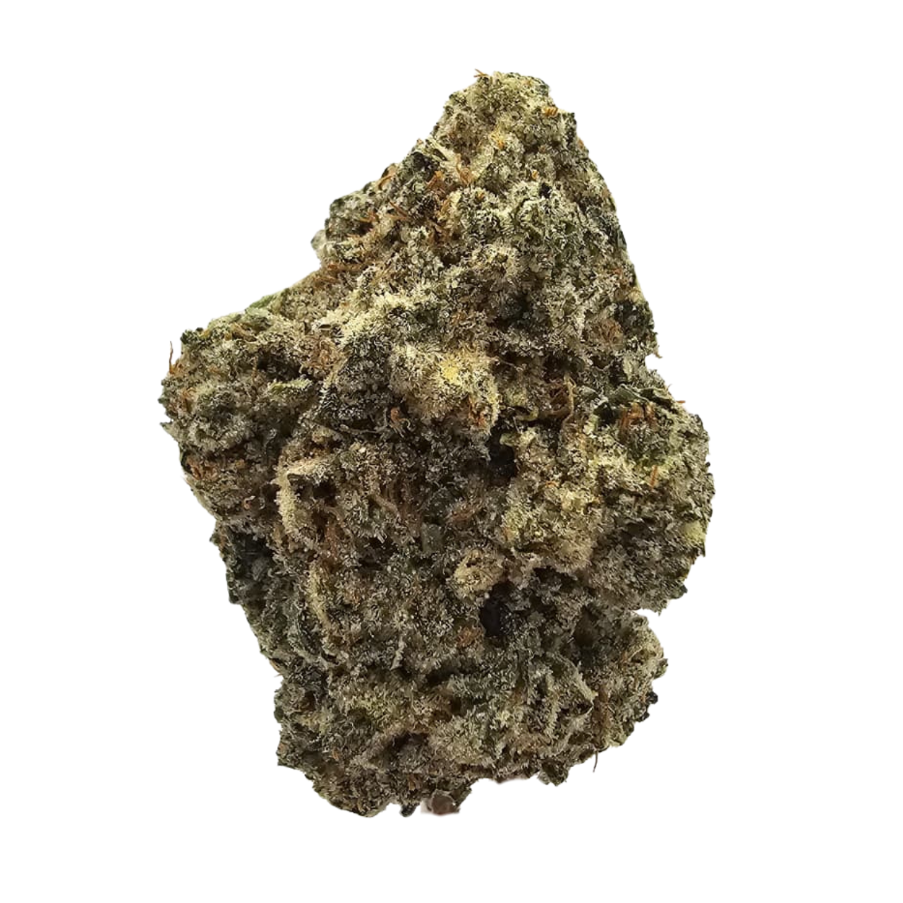 Animal Face THCA Tea Flower from Kushte, a Face Off OG × Animal Mints hybrid with pungent gas, earthy pine, peppery spice and a smooth creamy sweetness.
