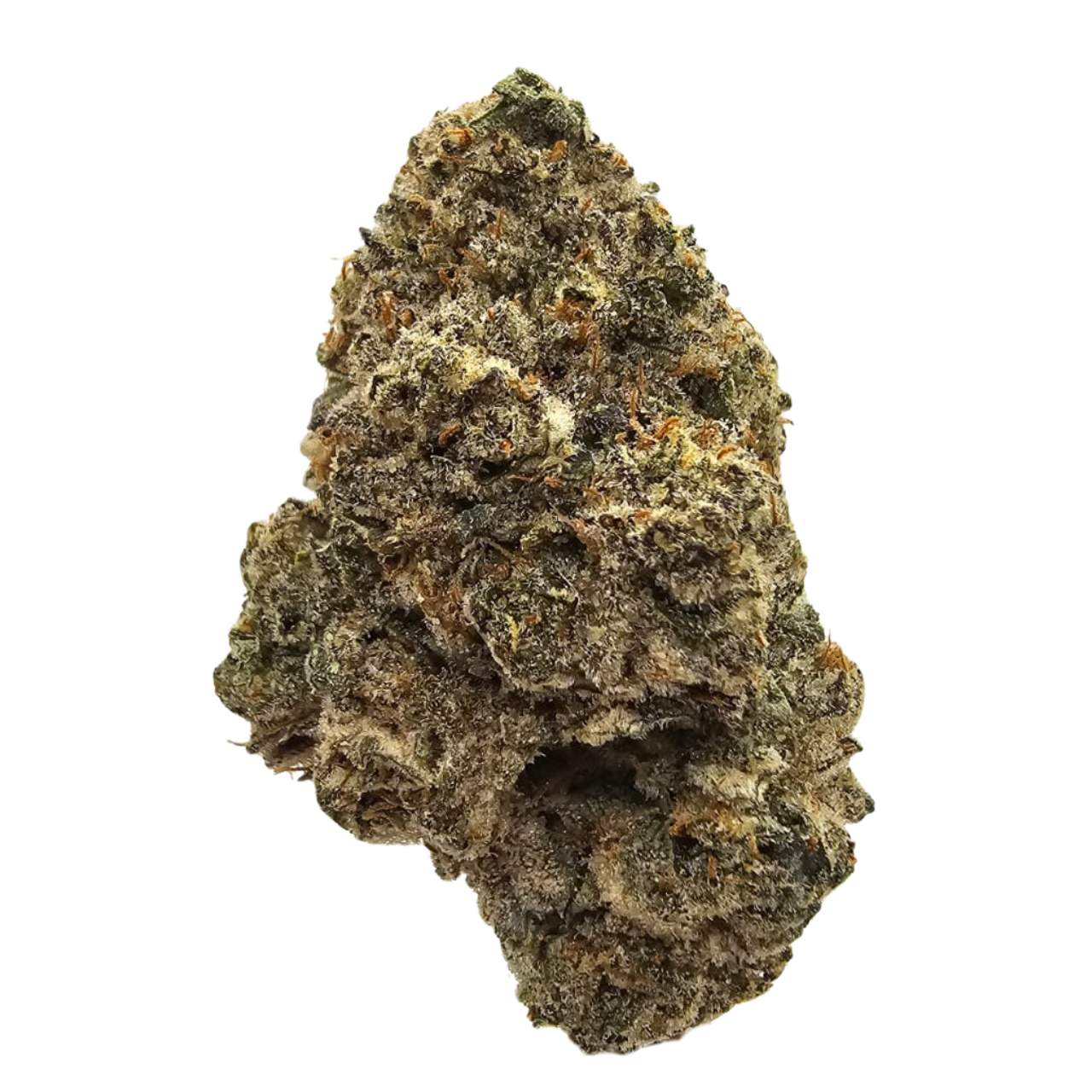 Animal Face THCA Tea Flower from Kushte, a Face Off OG × Animal Mints hybrid with pungent gas, earthy pine, peppery spice and a smooth creamy sweetness.