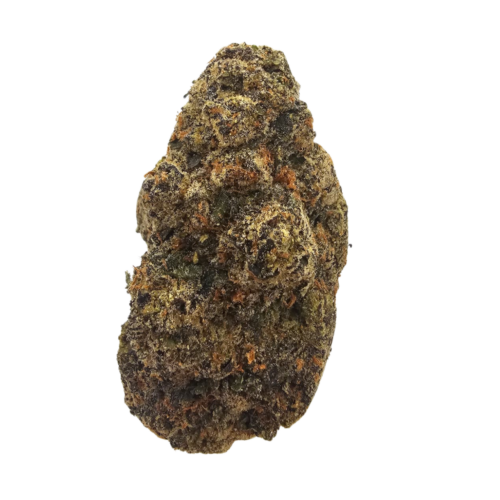 Banana Creamz indoor THCA tea flower from Kushte, a Banana Jealousy × Zoap cross with a creamy banana aroma layered with sweet bubblegum, fruity candy and subtle funky notes.