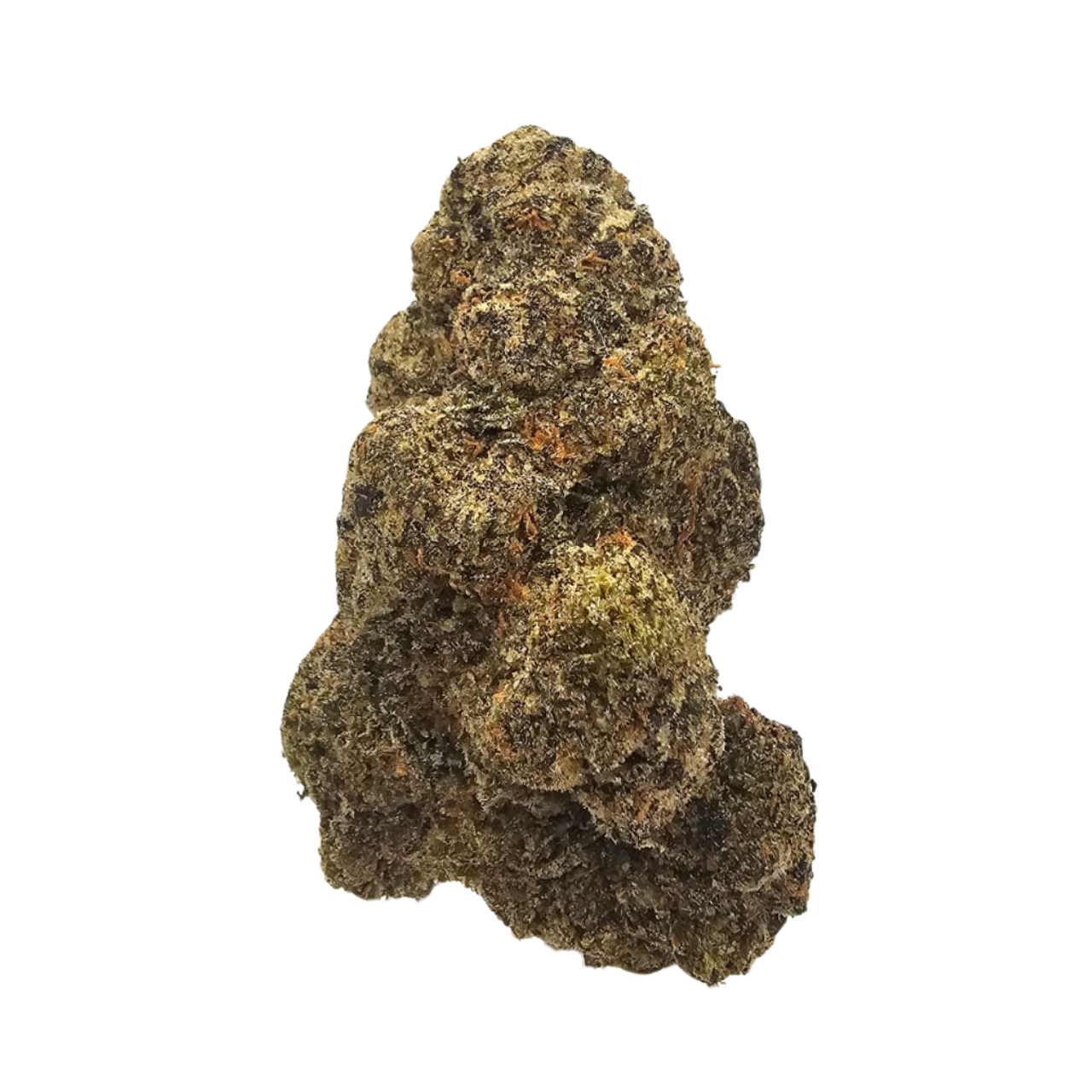 Banana Creamz indoor THCA tea flower from Kushte, a Banana Jealousy × Zoap cross with a creamy banana aroma layered with sweet bubblegum, fruity candy and subtle funky notes.