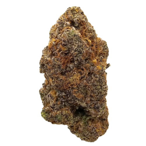 Forbidden Gushers THCA tea flower from Kushte, featuring a deep, syrupy dark-fruit aroma with sweet cherry and berry notes that open into sharp, high-pitched fuel on the squeeze.
