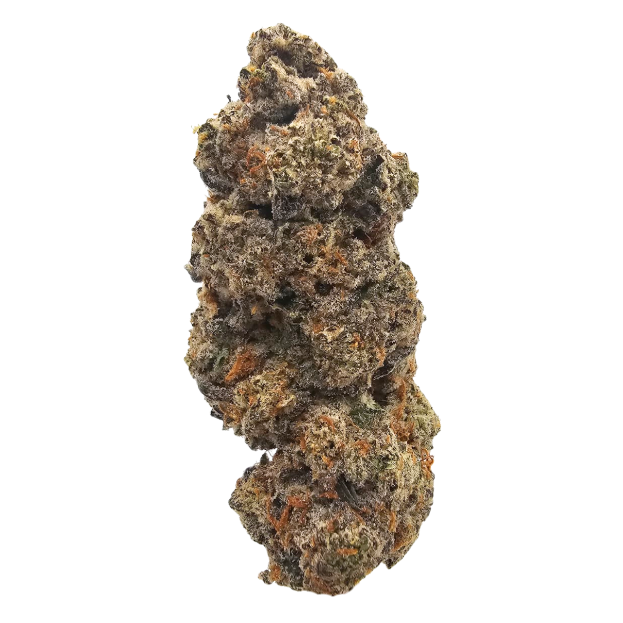 Gummies THCA Tea Flower from Kushte, featuring a sweet gummy-candy and mixed-fruit aroma layered with creamy notes and deeper fuel on the squeeze.