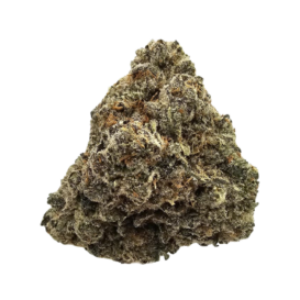 Khalifa Mints THCA Tea Flower from Kushte, a Khalifa Kush x The Menthol hybrid characterised by creamy Kush, cooling mint and menthol, citrus and deep OG gas.