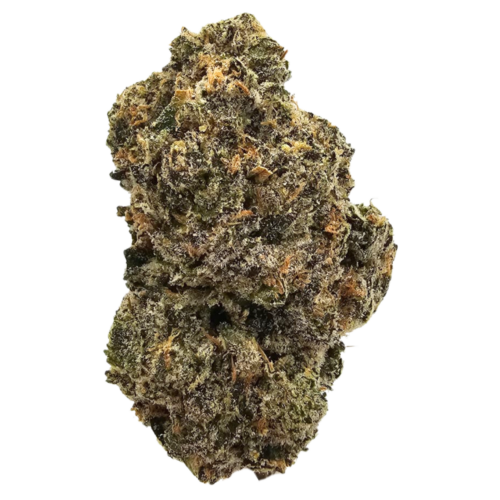 Lemon Fuel THCA Tea Flower from Kushte, featuring a bold aromatic profile of piercing lemon zest, sour citrus, diesel fuel, earthy pine and subtle spice.