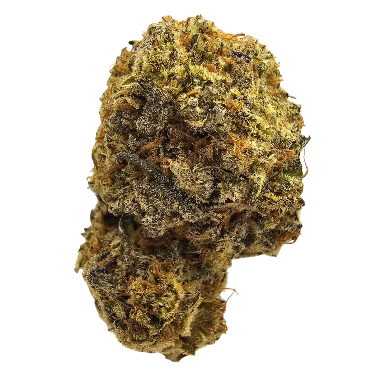 Pear Effect THCA tea flower from Kushte, with a distinctive aroma of ripe pear and sweet orchard fruit complemented by soft floral perfume and delicate candy sweetness.
