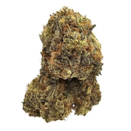 Pear Effect THCA tea flower from Kushte, with a distinctive aroma of ripe pear and sweet orchard fruit complemented by soft floral perfume and delicate candy sweetness.