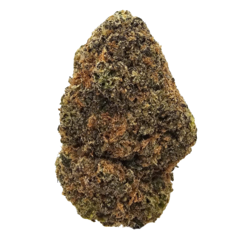 Pink Marker THCA tea flower from Kushte, combining sweet berry and floral notes with earthy Kush, spice and distinctive Marker funk. This batch contains seeds and is discounted accordingly.