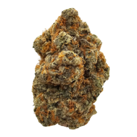 Animal Gas THCA Tea Flower from Kushte, featuring dense, heavily frosted flowers and a powerful terpene profile combining baked biscuit, cookie dough and subtle vanilla with intense diesel and chemical gas.