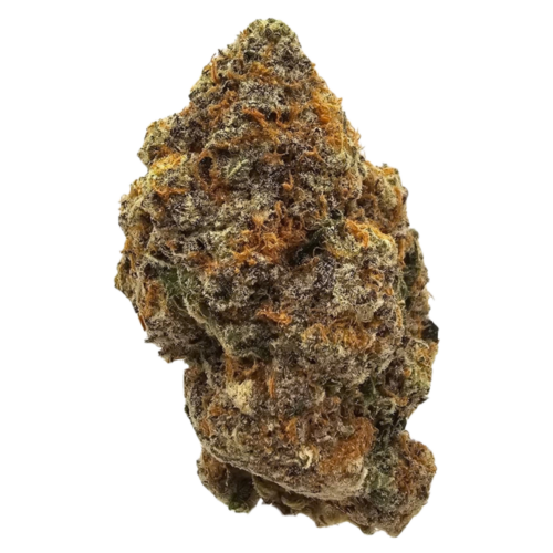 Apricot Octane THCA Tea Flower from Kushte