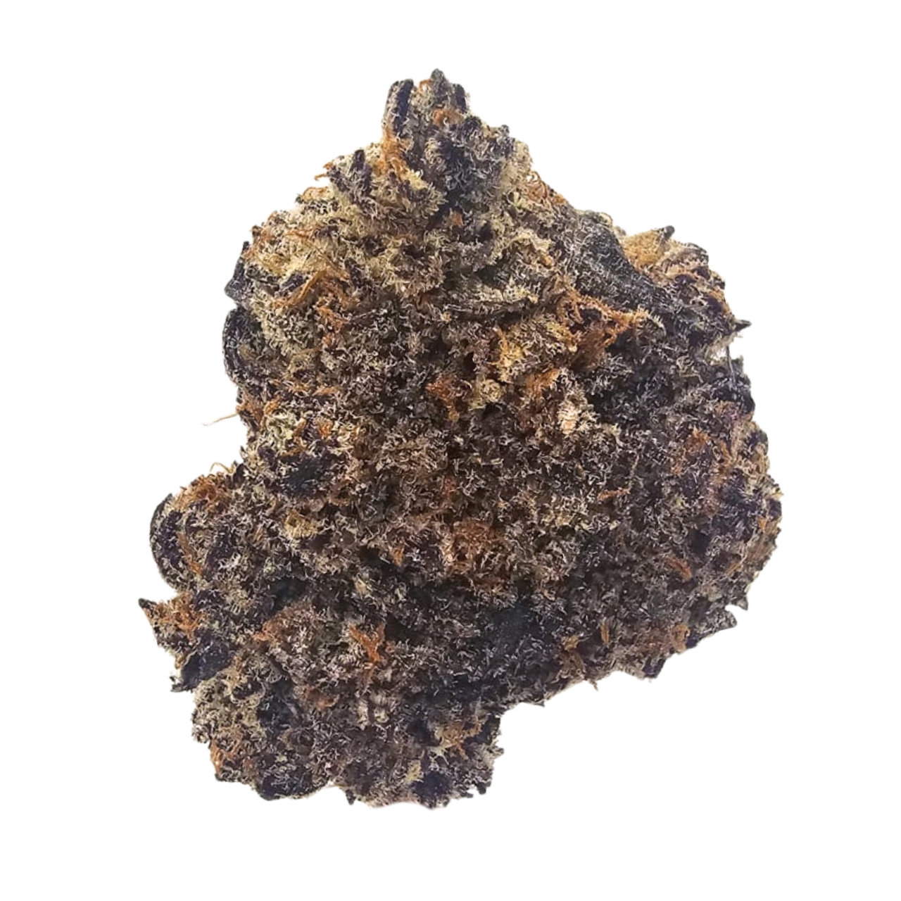 Gastro Pop THCA tea flower from Kushte, featuring a rich aroma of sweet grape, ripe apple and mixed fruit layered with funky, pungent gas.