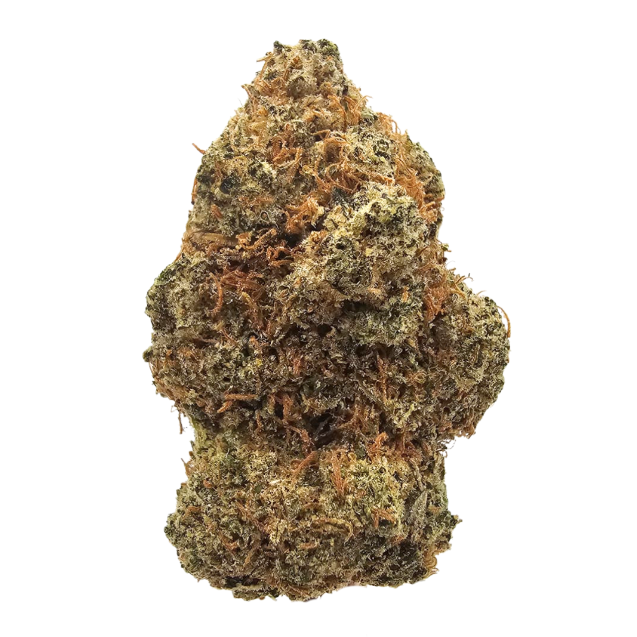 Gorilla Mints THCA Tea Flower from Kushte, a Gorilla Glue #4 × Animal Mints hybrid with a pungent gas and glue aroma, peppery spice, creamy sweetness and a subtle cool minty finish.