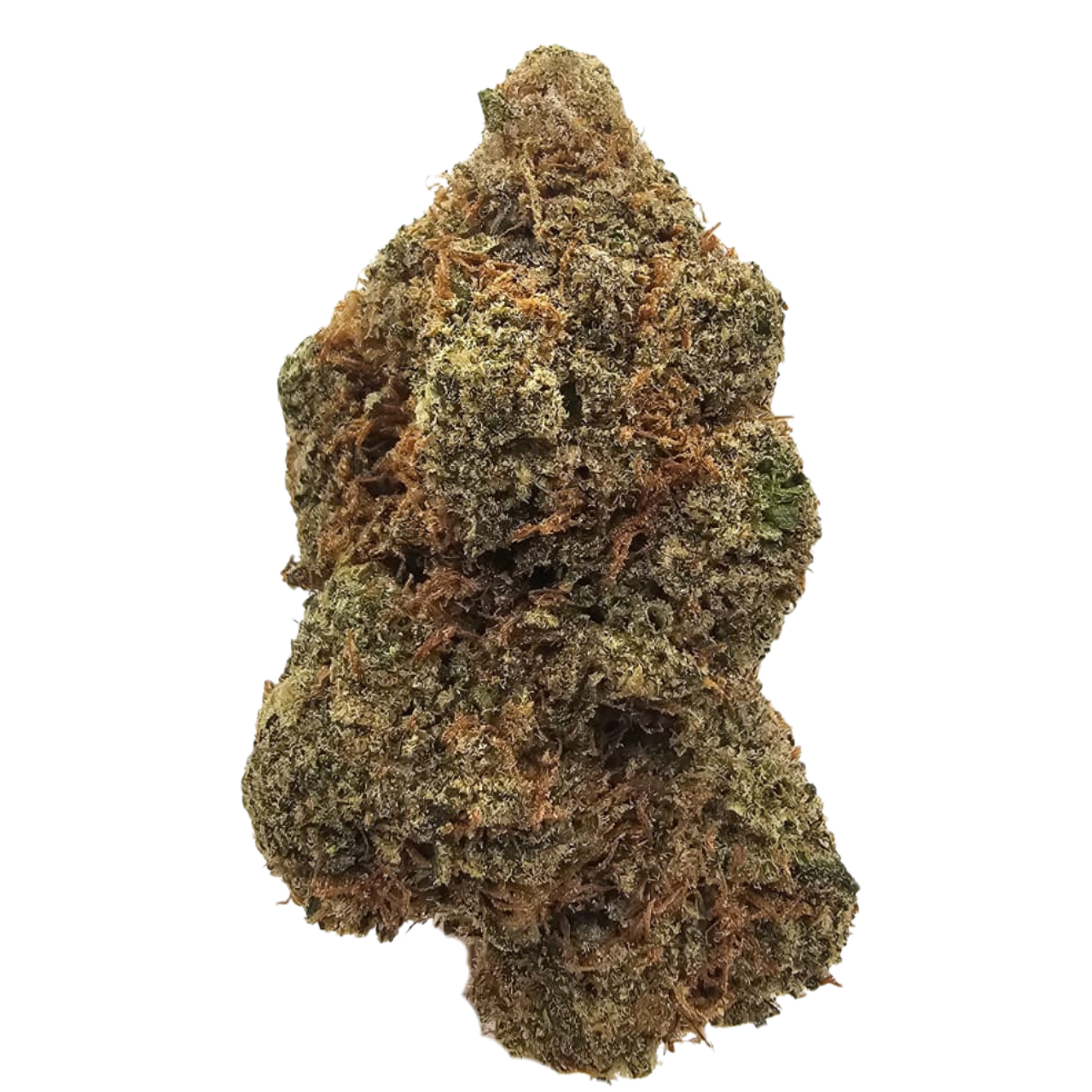 Gorilla Mints THCA Tea Flower from Kushte, a Gorilla Glue #4 × Animal Mints hybrid with a pungent gas and glue aroma, peppery spice, creamy sweetness and a subtle cool minty finish.