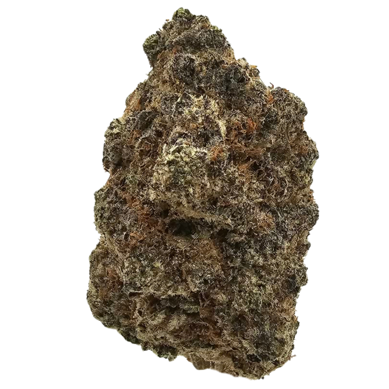 Close-up of After Eight THCA Tea Flower showcasing dense, dark forest-green flowers with dusky purple shading, warm orange pistils and thick, frosty trichome coverage.
