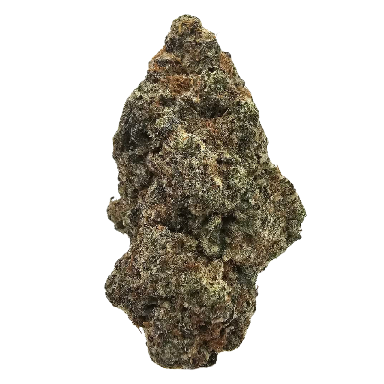 Close-up of After Eight THCA Tea Flower showcasing dense, dark forest-green flowers with dusky purple shading, warm orange pistils and thick, frosty trichome coverage.