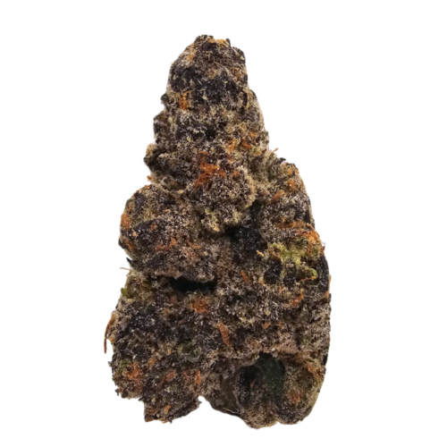Banana Jealousy Purple Phenotype THCA Tea Flower at Kushte, showcasing distinctive purple colouring and a slightly sweeter aromatic profile of creamy banana, honeyed berries and earthy diesel.