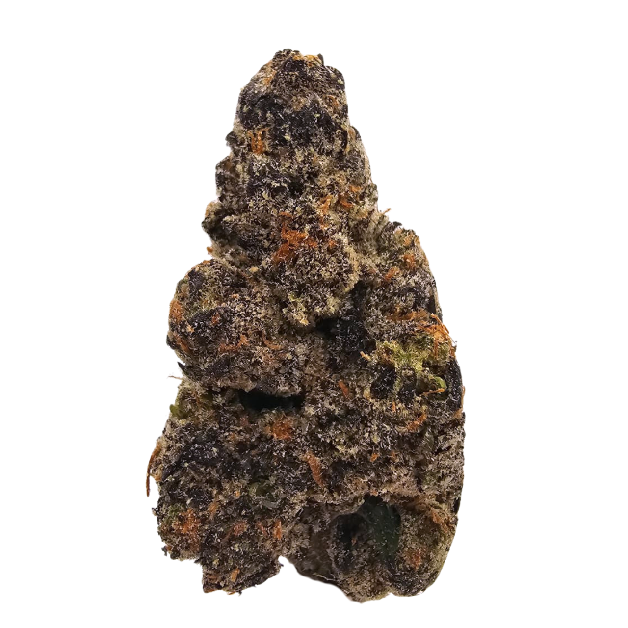 Banana Jealousy Purple Phenotype THCA Tea Flower at Kushte, showcasing distinctive purple colouring and a slightly sweeter aromatic profile of creamy banana, honeyed berries and earthy diesel.
