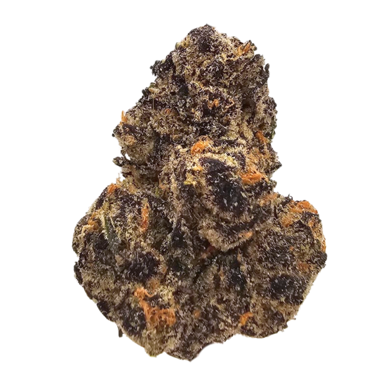 Banana Jealousy Purple Phenotype THCA Tea Flower at Kushte, showcasing distinctive purple colouring and a slightly sweeter aromatic profile of creamy banana, honeyed berries and earthy diesel.
