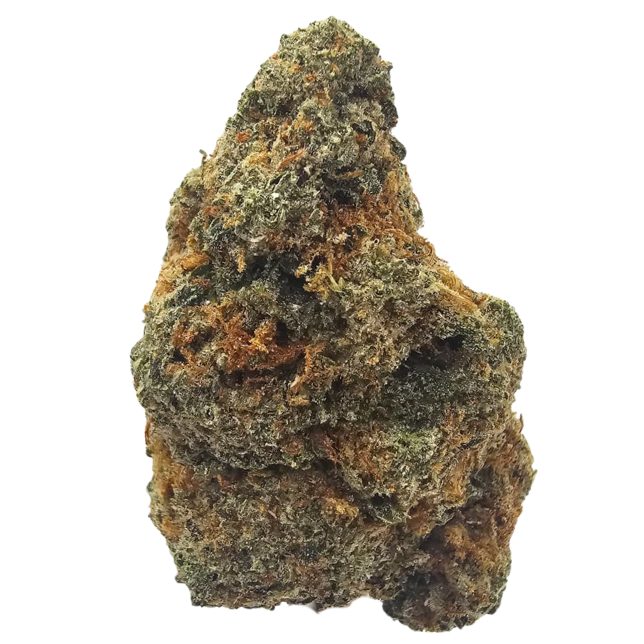 Blue Appleberry premium THCA tea flower from Kushte, featuring a sweet blueberry and crisp apple aromatic profile with soft floral notes and subtle earthy depth.
