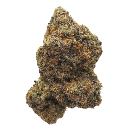 Blueberry Bubblegum THCA tea flower from Kushte featuring a sweet blueberry, bubblegum and creamy peach aroma profile.