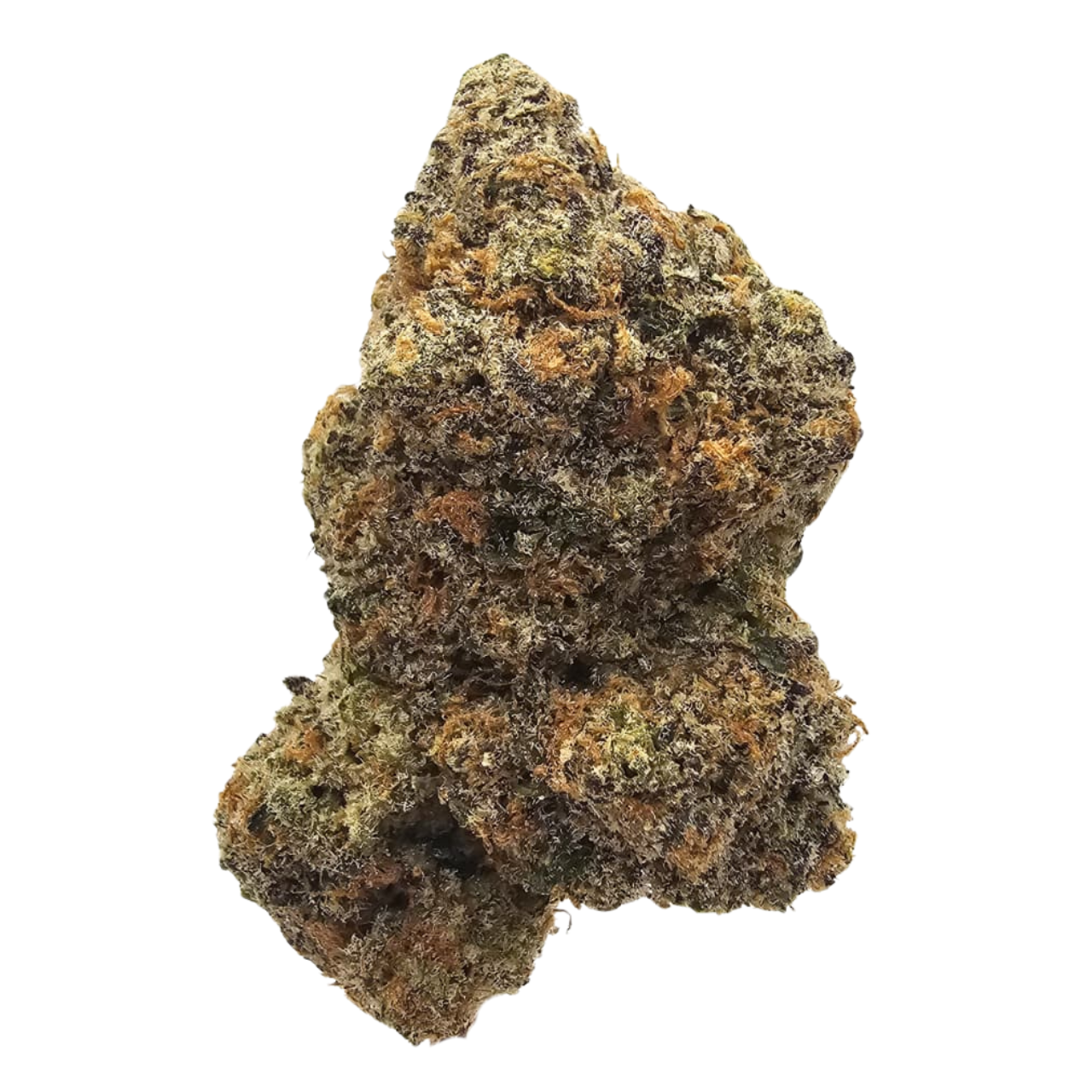 Blueberry Bubblegum THCA tea flower from Kushte featuring a sweet blueberry, bubblegum and creamy peach aroma profile.